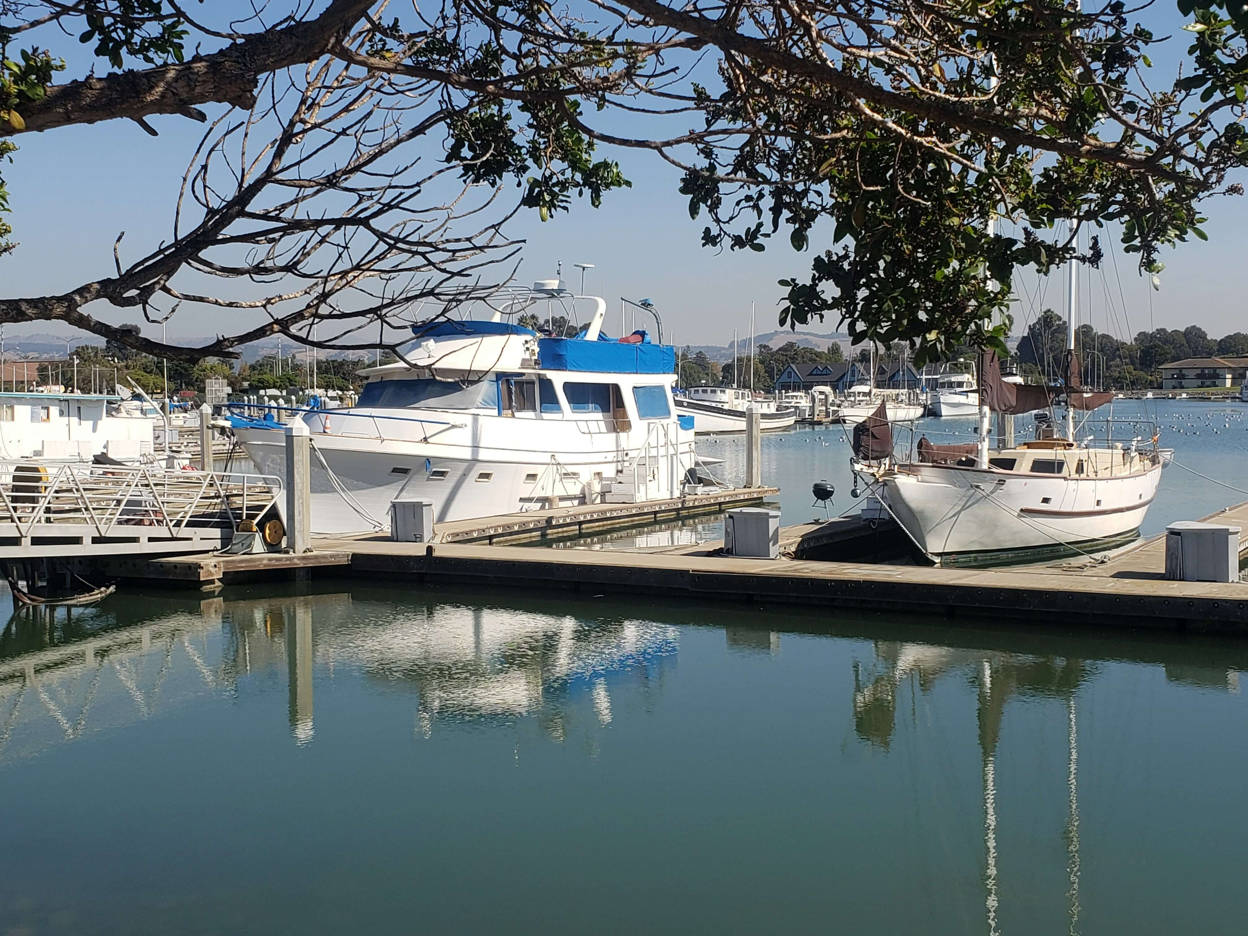 Dumpster Rental in San Leandro, CA